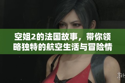 空姐2的法国故事，带你领略独特的航空生活与冒险情节