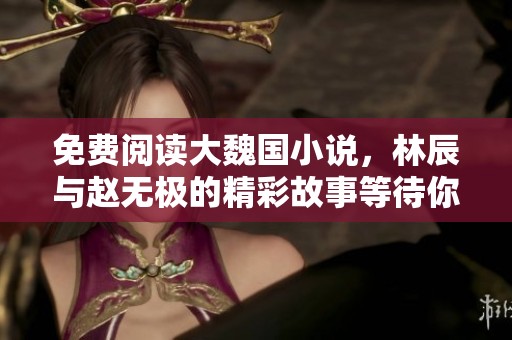 免费阅读大魏国小说，林辰与赵无极的精彩故事等待你的探索