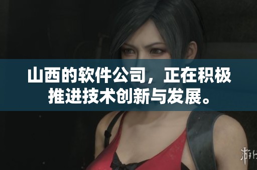 山西的软件公司，正在积极推进技术创新与发展。