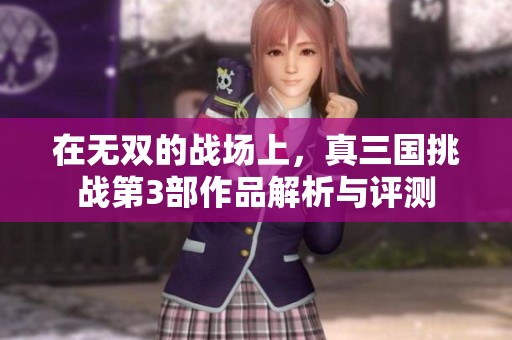在无双的战场上，真三国挑战第3部作品解析与评测