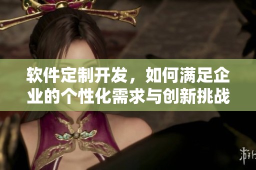 软件定制开发，如何满足企业的个性化需求与创新挑战
