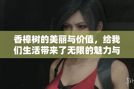 香樟树的美丽与价值，给我们生活带来了无限的魅力与影响