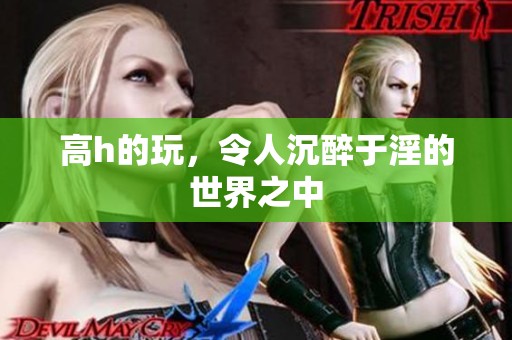 高h的玩，令人沉醉于淫的世界之中