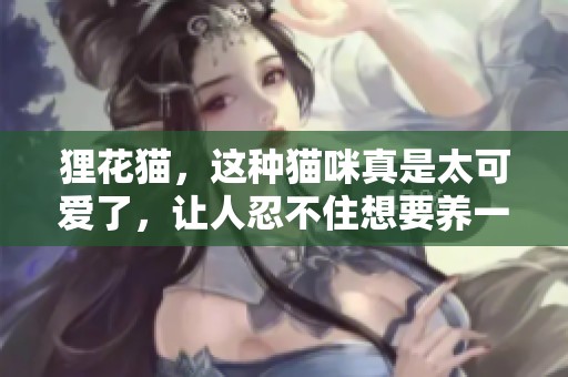 狸花猫，这种猫咪真是太可爱了，让人忍不住想要养一只！