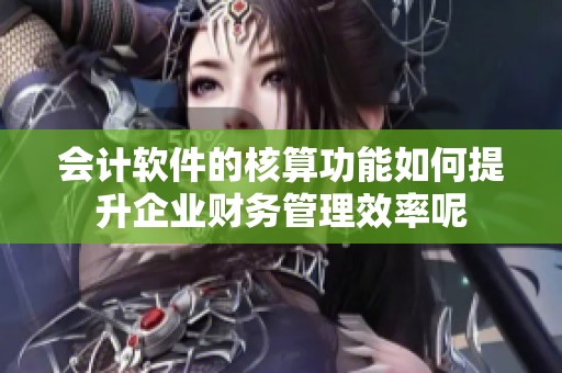 会计软件的核算功能如何提升企业财务管理效率呢