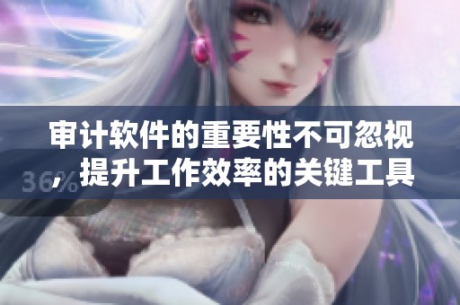 审计软件的重要性不可忽视，提升工作效率的关键工具是什么