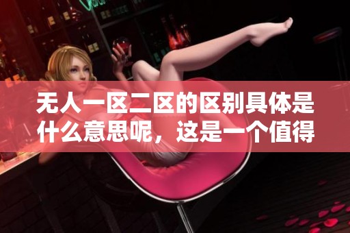 无人一区二区的区别具体是什么意思呢，这是一个值得探讨的话题