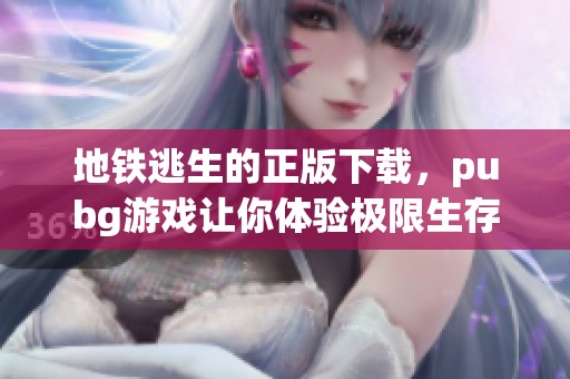 地铁逃生的正版下载，pubg游戏让你体验极限生存挑战