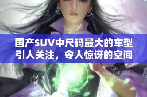 国产SUV中尺码最大的车型引人关注，令人惊讶的空间设计与性能结合