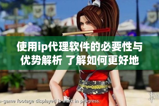 使用ip代理软件的必要性与优势解析 了解如何更好地保护你的网络安全