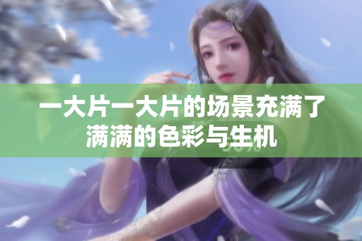 一大片一大片的场景充满了满满的色彩与生机
