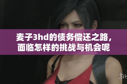 麦子3hd的债务偿还之路，面临怎样的挑战与机会呢