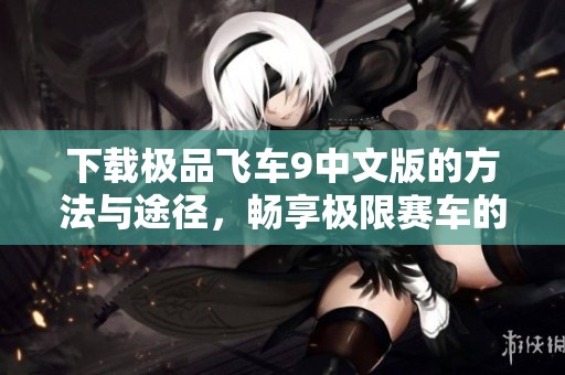 下载极品飞车9中文版的方法与途径，畅享极限赛车的乐趣