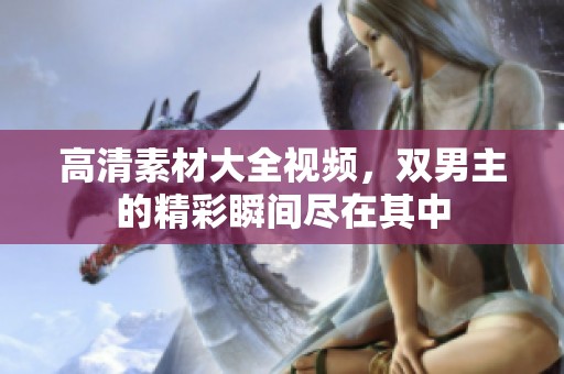 高清素材大全视频，双男主的精彩瞬间尽在其中