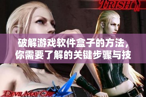 破解游戏软件盒子的方法，你需要了解的关键步骤与技巧详解