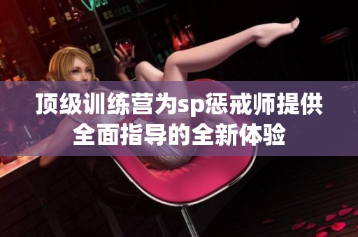 顶级训练营为sp惩戒师提供全面指导的全新体验