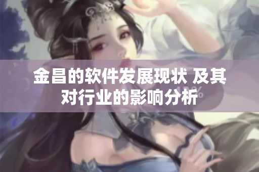 金昌的软件发展现状 及其对行业的影响分析