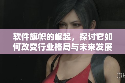 软件旗帜的崛起，探讨它如何改变行业格局与未来发展方向
