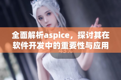 全面解析aspice，探讨其在软件开发中的重要性与应用价值