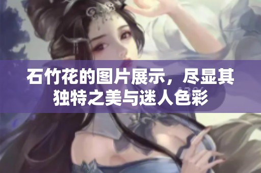 石竹花的图片展示，尽显其独特之美与迷人色彩