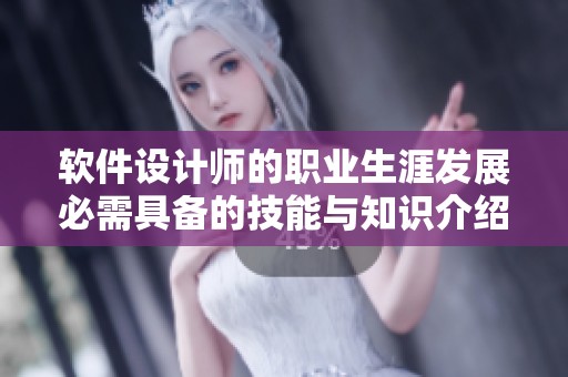 软件设计师的职业生涯发展必需具备的技能与知识介绍