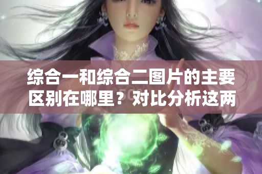 综合一和综合二图片的主要区别在哪里？对比分析这两者之间的不同点。