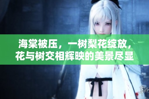 海棠被压，一树梨花绽放，花与树交相辉映的美景尽显魅力