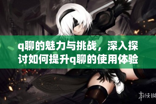 q聊的魅力与挑战，深入探讨如何提升q聊的使用体验与乐趣