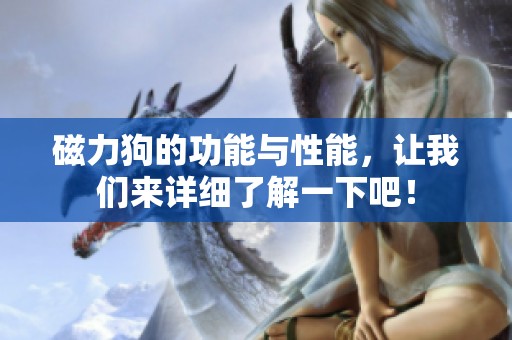 磁力狗的功能与性能，让我们来详细了解一下吧！