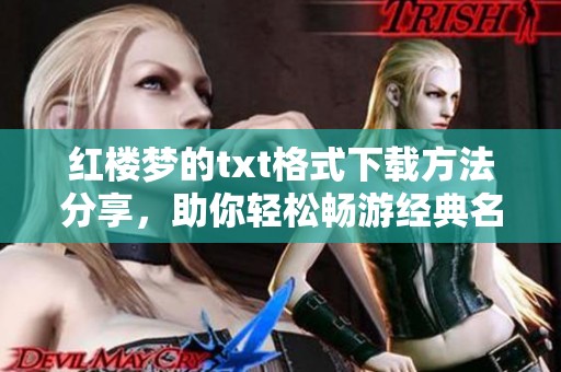 红楼梦的txt格式下载方法分享，助你轻松畅游经典名著世界