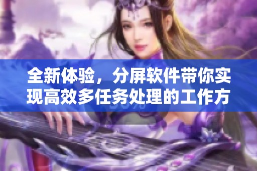 全新体验，分屏软件带你实现高效多任务处理的工作方式