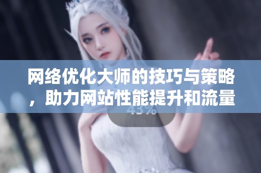 网络优化大师的技巧与策略，助力网站性能提升和流量增长