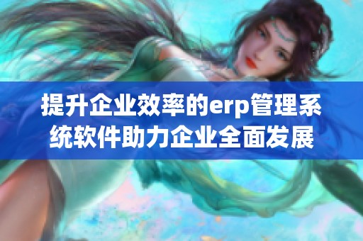 提升企业效率的erp管理系统软件助力企业全面发展