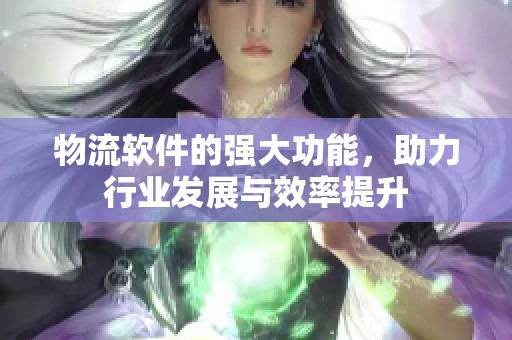 物流软件的强大功能，助力行业发展与效率提升