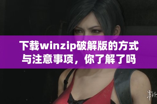 下载winzip破解版的方式与注意事项，你了解了吗