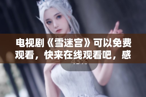 电视剧《雪迷宫》可以免费观看，快来在线观看吧，感受精彩剧情！