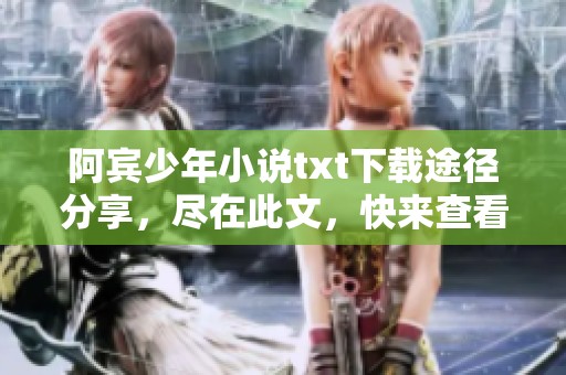 阿宾少年小说txt下载途径分享，尽在此文，快来查看吧
