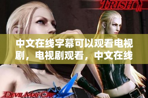 中文在线字幕可以观看电视剧，电视剧观看，中文在线字幕带来新体验