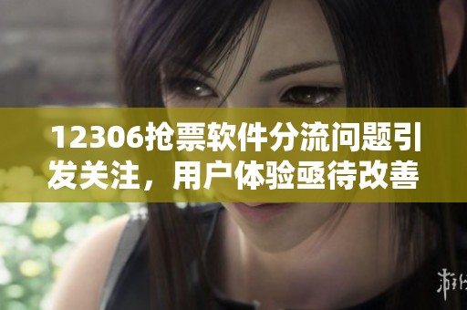 12306抢票软件分流问题引发关注，用户体验亟待改善和提升