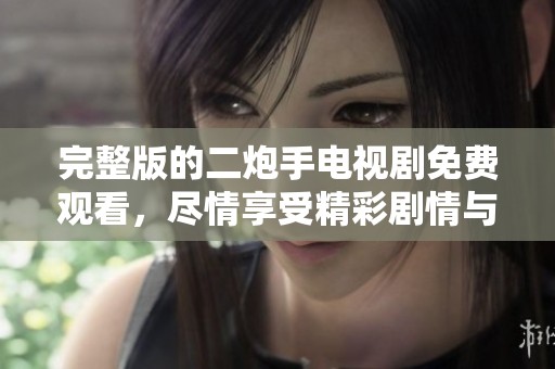 完整版的二炮手电视剧免费观看，尽情享受精彩剧情与角色表现