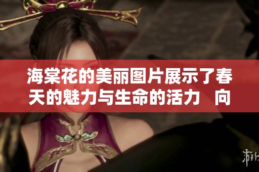海棠花的美丽图片展示了春天的魅力与生命的活力   向你分享这组精彩的照片