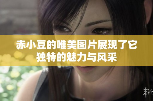 赤小豆的唯美图片展现了它独特的魅力与风采