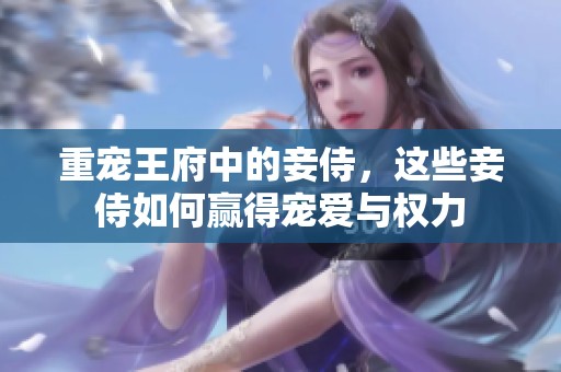 重宠王府中的妾侍，这些妾侍如何赢得宠爱与权力