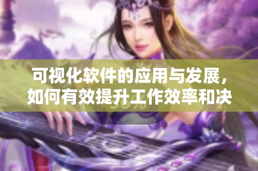可视化软件的应用与发展，如何有效提升工作效率和决策能力