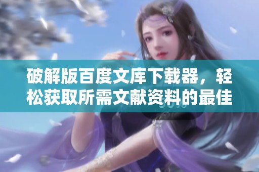 破解版百度文库下载器，轻松获取所需文献资料的最佳选择