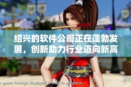 绍兴的软件公司正在蓬勃发展，创新助力行业迈向新高峰