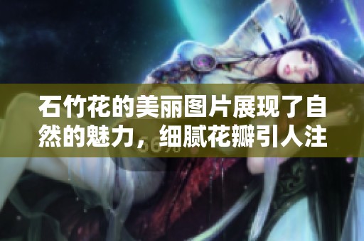 石竹花的美丽图片展现了自然的魅力，细腻花瓣引人注目。
