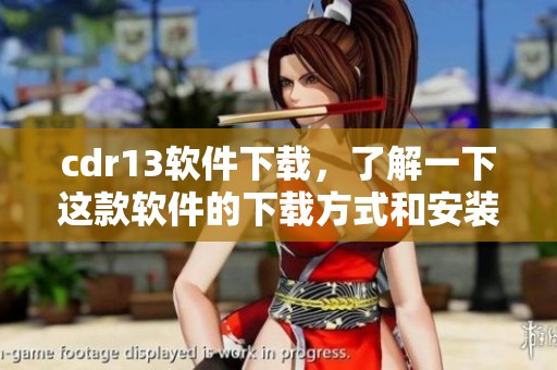 cdr13软件下载，了解一下这款软件的下载方式和安装步骤揭秘