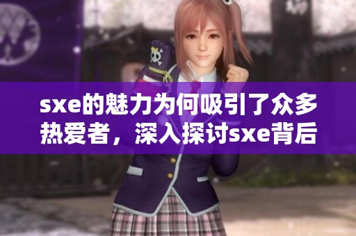 sxe的魅力为何吸引了众多热爱者，深入探讨sxe背后的故事与意义