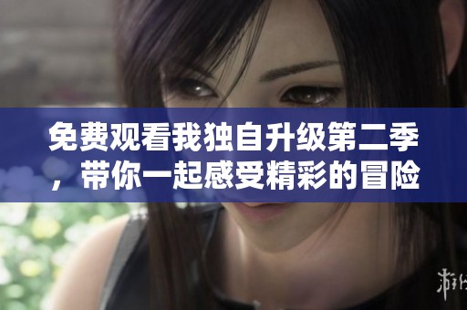 免费观看我独自升级第二季，带你一起感受精彩的冒险旅程